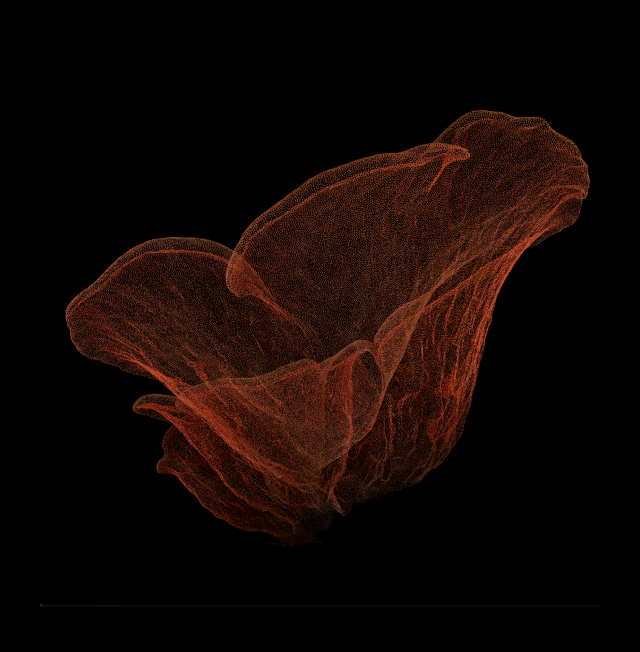 A display of the mushroom data as a point cloud in Unreal Engine